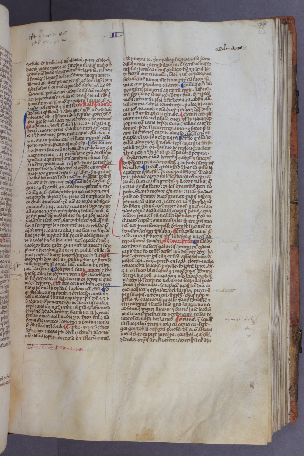 Folio 43 recto